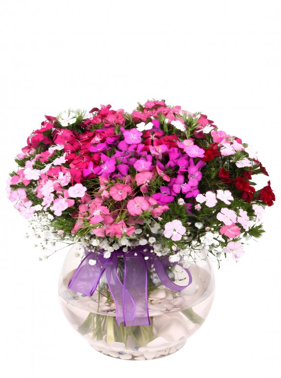 Cam Fanusta Baharın Küresi